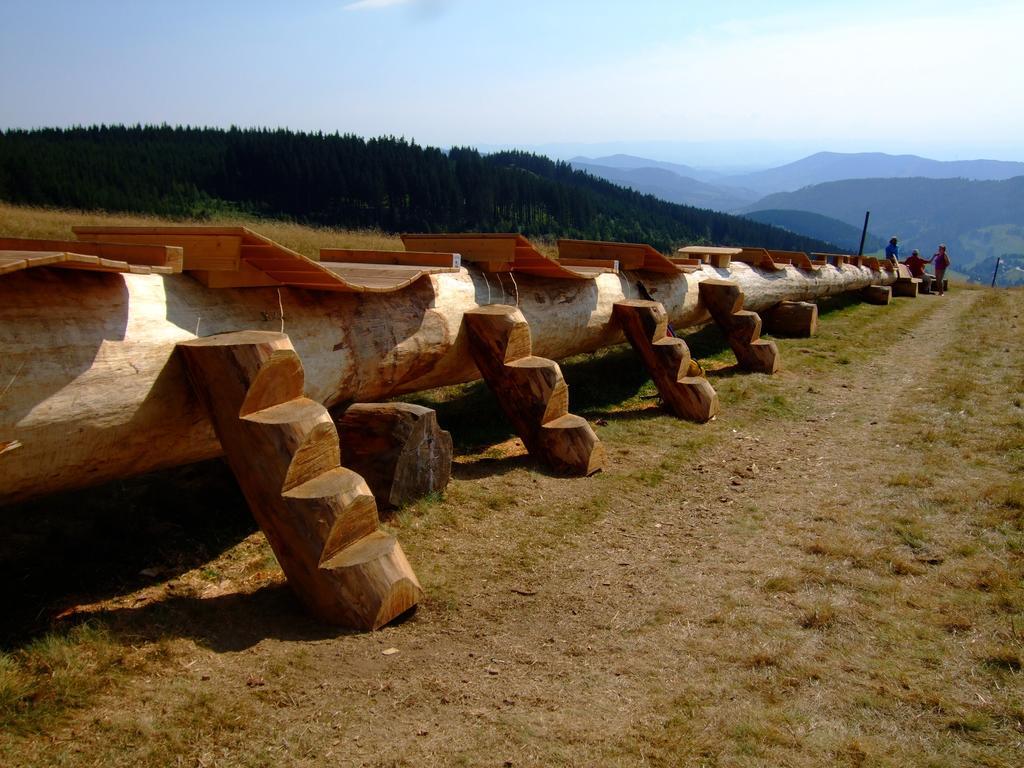 Bergseele Privat- & Retreathotel Schwarzwald Todtnauberg Esterno foto