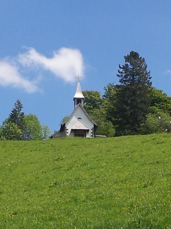 Bergseele Privat- & Retreathotel Schwarzwald Todtnauberg Esterno foto