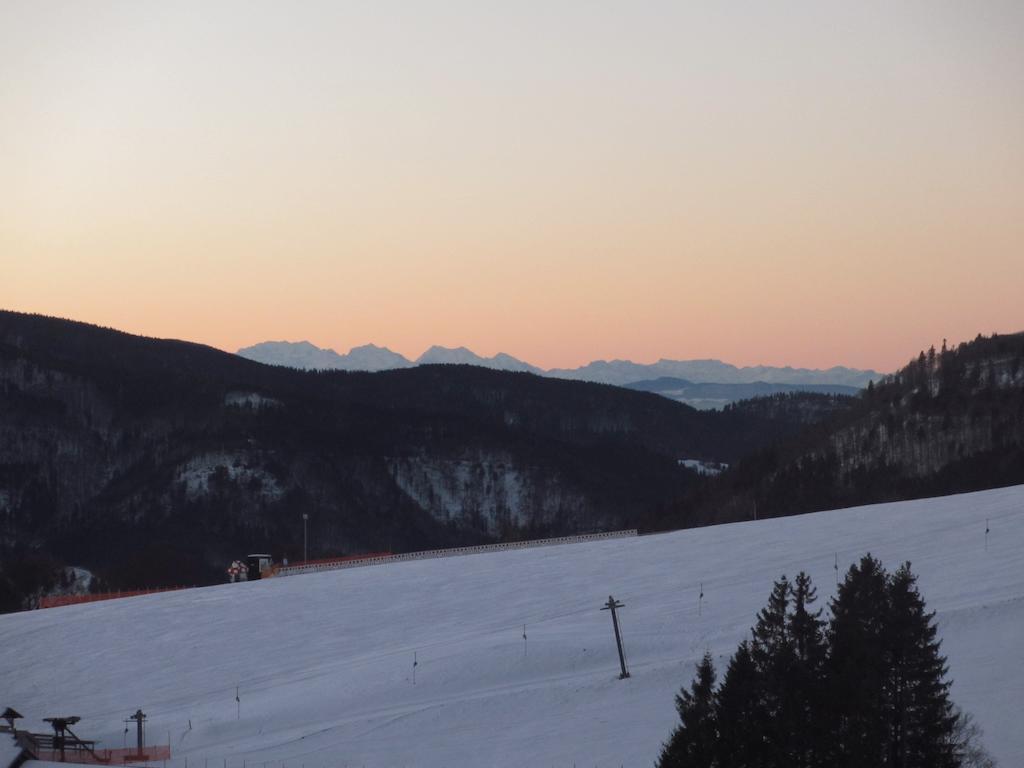 Bergseele Privat- & Retreathotel Schwarzwald Todtnauberg Esterno foto