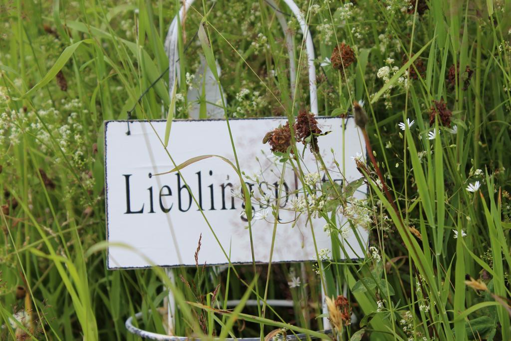 Bergseele Privat- & Retreathotel Schwarzwald Todtnauberg Esterno foto